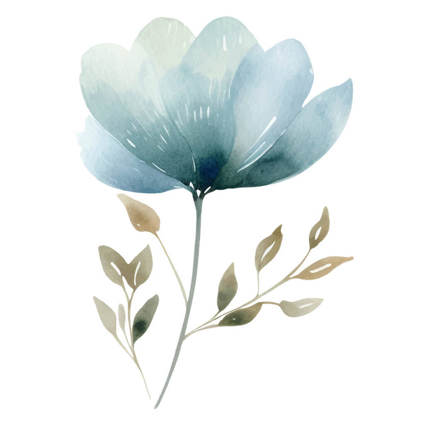 Aquarel hand geschilderd bloem illustratie. Bloemendecoratie elementen geïsoleerd op witte achtergrond - Vector, afbeelding