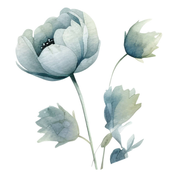 水彩手描きの花のイラスト。白い背景に孤立した花の装飾要素 - ベクター画像