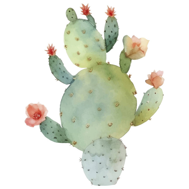 Cactus Watercolor Illustration.Succulent and Cacti Prints Elements - Вектор, зображення