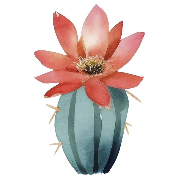 Cactus Acuarela Ilustración. Elementos de impresión de cactus y cactus - Vector, imagen
