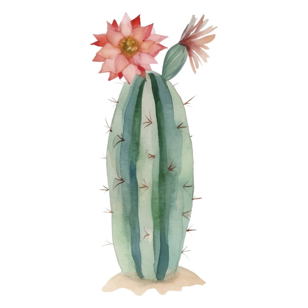 Cactus Watercolor Illustration.Socculent και Cacti Στοιχεία εκτύπωσης - Διάνυσμα, εικόνα