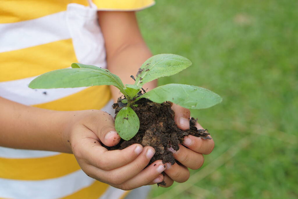 concepto de salvar al niño del mundo plantando árboles - Foto, imagen