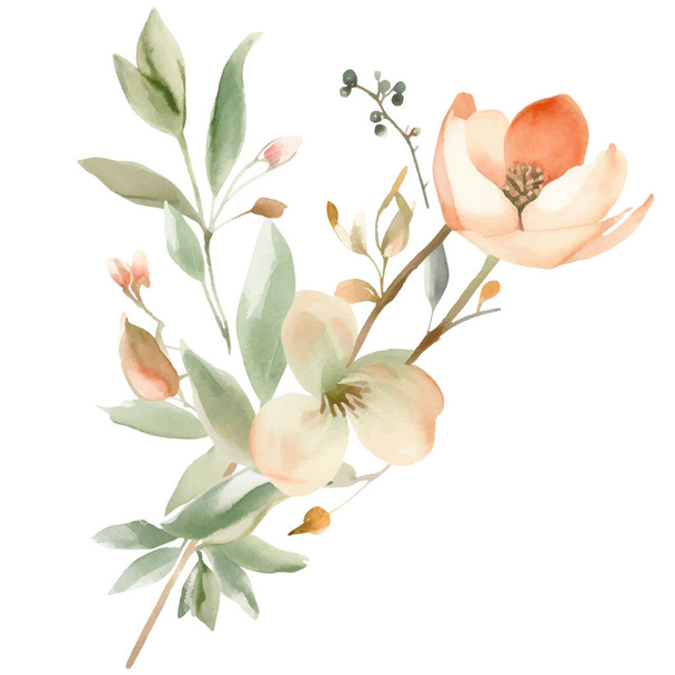 Watercolor pintado à mão ilustração da flor. Elementos de decoração floral isolados sobre fundo branco - Vetor, Imagem