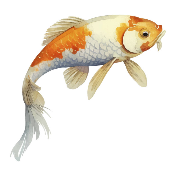 Aquarelle peinte à la main Koi Fish Illustration. Éléments de style japonais isolés sur fond blanc - Vecteur, image