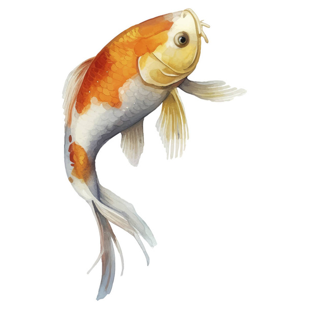 Vesiväri käsin maalattu Koi Fish Illustration. Japanilainen tyyli elementtejä eristetty valkoisella taustalla - Vektori, kuva