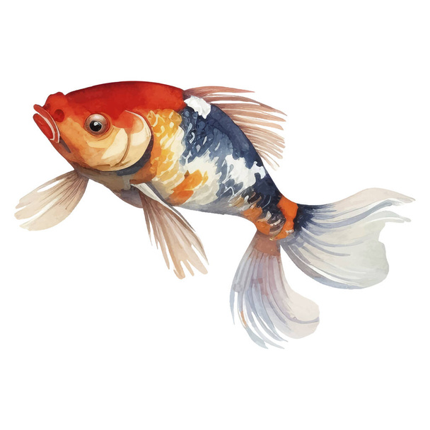 Akwarela ręcznie malowane Koi Fish Illustration. Elementy stylu japońskiego izolowane na białym tle - Wektor, obraz