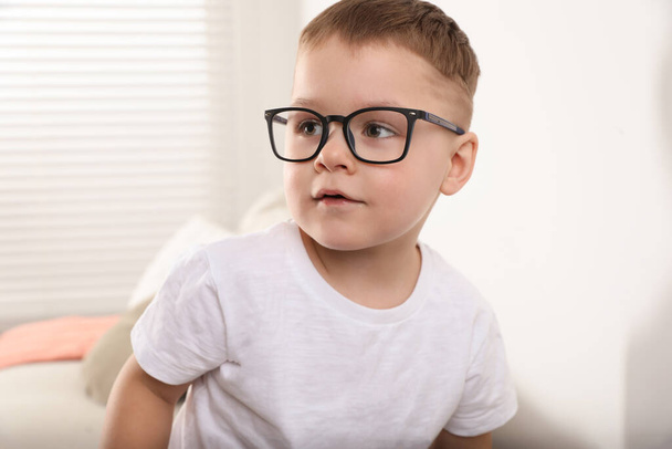 Cute little boy in glasses at home - 写真・画像