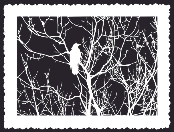 vector silhouette bird on black background - Wektor, obraz