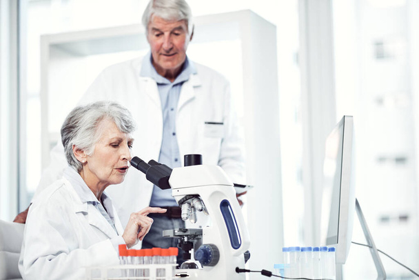What are your thoughts on this experiment. two focused elderly scientists working together inside of a laboratory - Photo, image