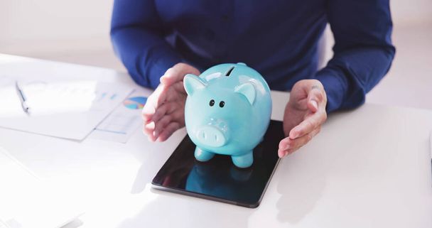 Pension And Income Protection. Save Money In Piggybank Insurance - Fotoğraf, Görsel