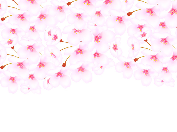 fundo flor de cereja
 - Vetor, Imagem