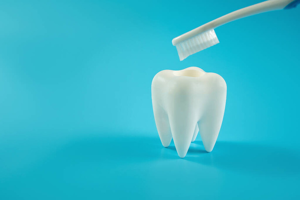 Dental concept healthy equipment tools dental care Professional banner - Фото, изображение
