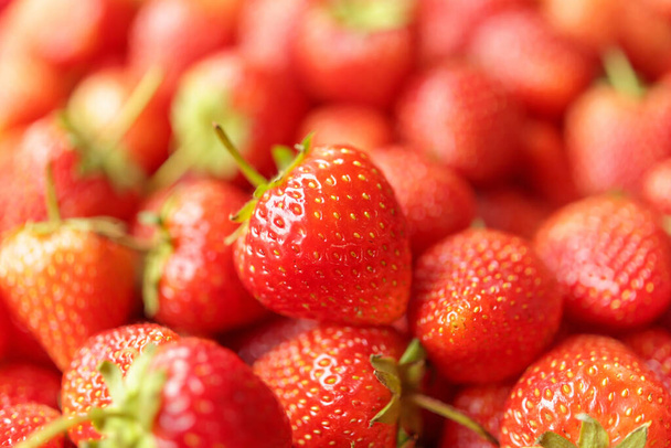 Fondo de fruta de fresa roja orgánica fresca - Foto, imagen