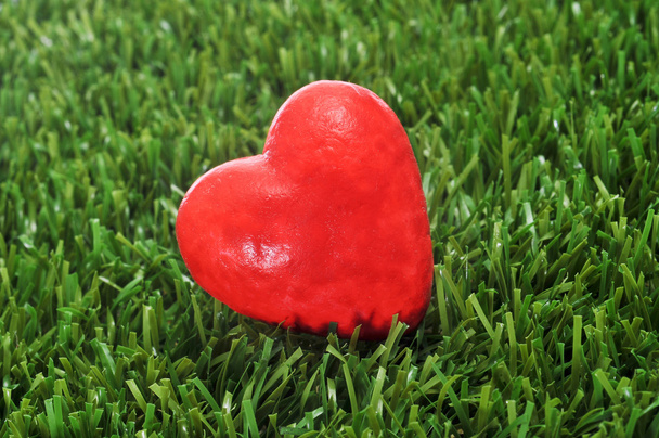srdce na trávě - Fotografie, Obrázek