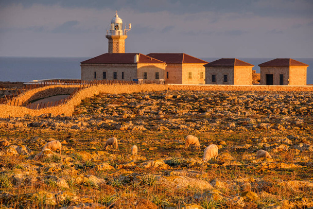 Punta Nati cape lighthouse, Ciutadella, Menorca, Balearic Islands, Spain - Fotografie, Obrázek