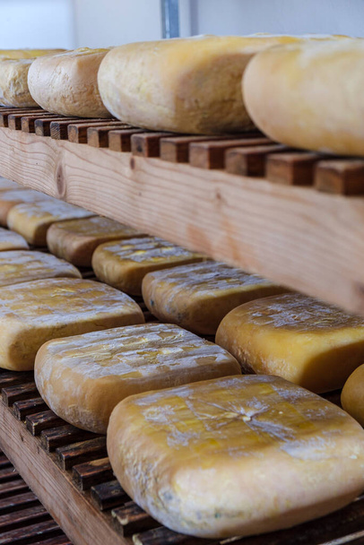shelves with cheese, Es Tudons cheesemaking, Ciutadella, Menorca, Balearic Islands, Spain - Photo, Image