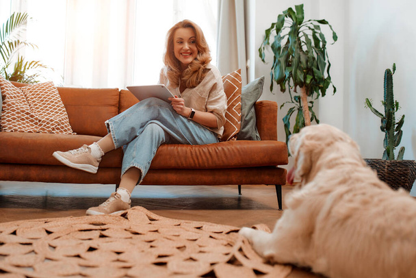 Pretty blond woman sitting on a sofa with a tablet in the living room at home with her labrador dog lying on the floor. - Photo, Image
