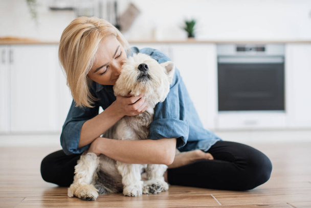 Loyal West Highland White Terrier staying in adult womans embraces while being inside modern apartment. Loving pet owner kissing her furry best friend while enjoying daily interaction with dog. - Foto, imagen
