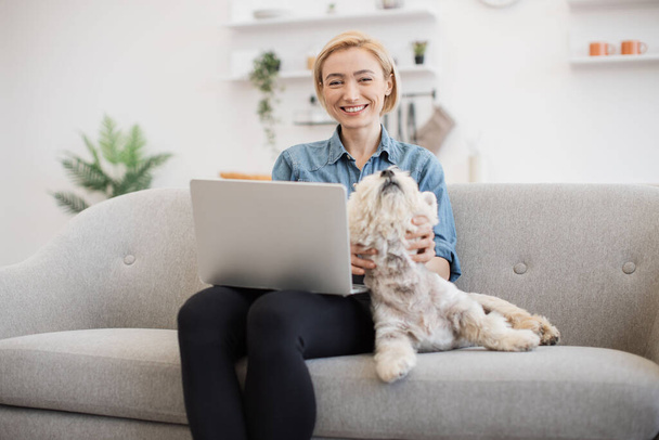 Smiling adult woman and sleepy purebred Westie posing with computer on laps in comfortable room with soft couch. Charming short-haired blonde scrolling digital photos from last birthday party. - Фото, изображение