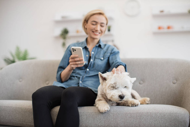 Happy lady in denim shirt using cell phone while petting slowly white terrier on sofa in apartment interior. Delighted dog keeper texting message on modern gadget after pleasant doggy spa day. - Zdjęcie, obraz