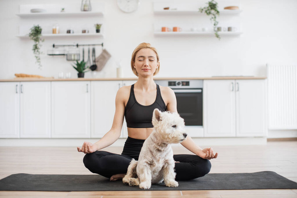 Active slim lady in tank top and yoga pants breathing in half lotus posture while relaxed furry pet sitting with her on black mat. Well-trained domestic animal becoming perfect exercise partner. - Foto, Imagem