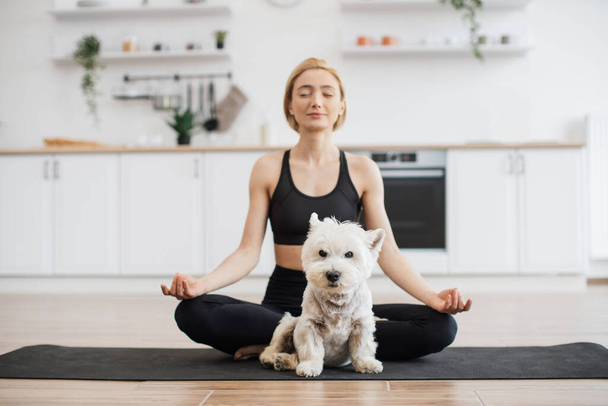 Full length view of West Highland White Terrier resting on rubber mat while charming fit lady doing yoga behind. Calm pet lover achieving Padmasana with gyan mudra while cute dog finding comfort. - Photo, image