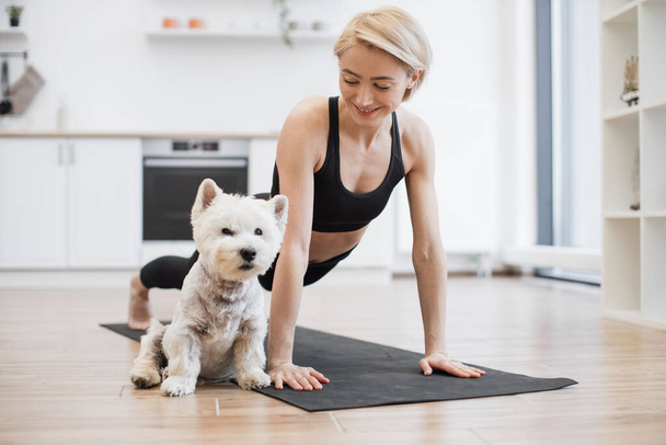 Calm West Highland White Terrier slowly falling asleep while female owner exercising arm balance yoga pose in home interior. Caucasian woman boosting mood and health while practising Phalakasana. - Foto, Imagen