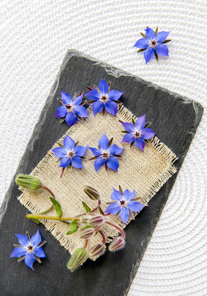 Beautiful dark blue edible flower Borago officinalis (Borago or borage) blossoms scattered. Flat lay view of blossoms on black stone serving board, white background, minimal set. - Photo, Image