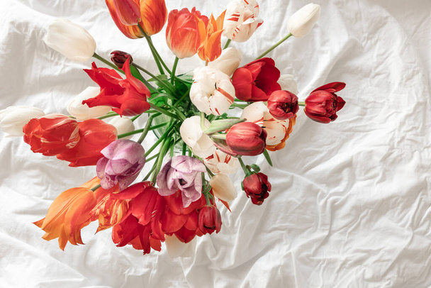 Voorjaarsachtergrond met een boeket rode tulpen in een wit bed, bovenaanzicht. - Foto, afbeelding