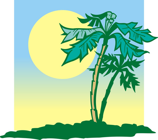 пальма - Вектор,изображение