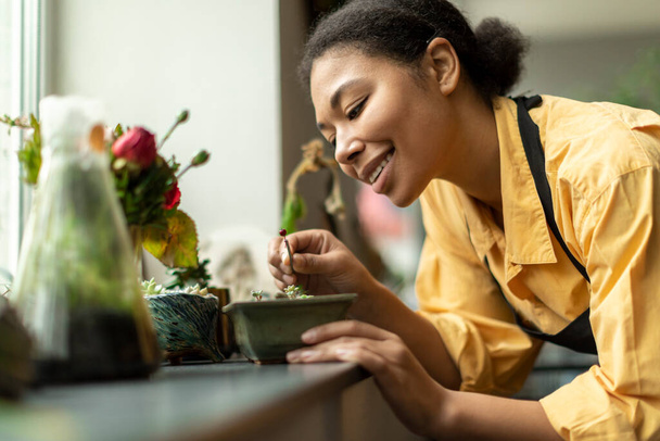 Młoda, odnosząca sukcesy czarna pracownica szklarni sprawdzająca mały plastikowy pojemnik z zielonymi sadzonkami, uprawiająca rośliny we własnej szklarni - Zdjęcie, obraz