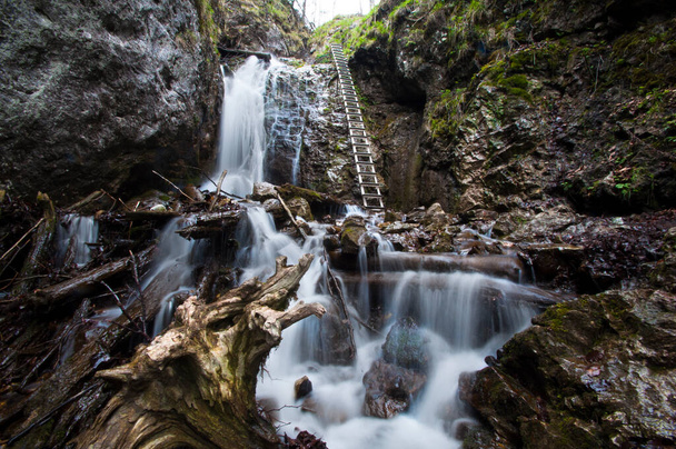 beautiful waterfall in forest  - Fotó, kép