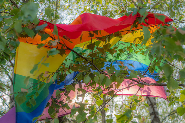 Uma bandeira LGBT colorida anexada a ramos de bétula flutua no vento contra galhos de árvores verdes exuberantes. Um símbolo LGBT que expressa uma visão próxima dos direitos humanos e da liberdade. Foco seletivo suave. - Foto, Imagem