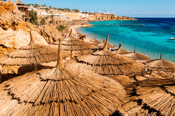 Ombrelloni sulla spiaggia nella barriera corallina, Sharm El Sheikh
 - Foto, immagini