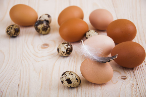 Eggs - Photo, Image