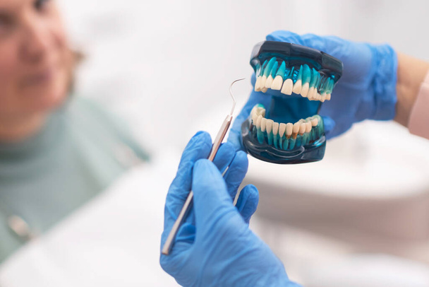 Paciente mujer escuchando al dentista explicando un plan de tratamiento y mostrando un modelo de mandíbula dental de cerca.  - Foto, Imagen