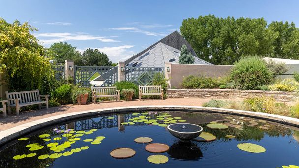 DENVER, COLORADO, 22 Temmuz 2021: ABD 'nin en iyi beş botanik bahçesinden biri olan Denver botanik bahçesinde Lily podları ile gölet. - Fotoğraf, Görsel