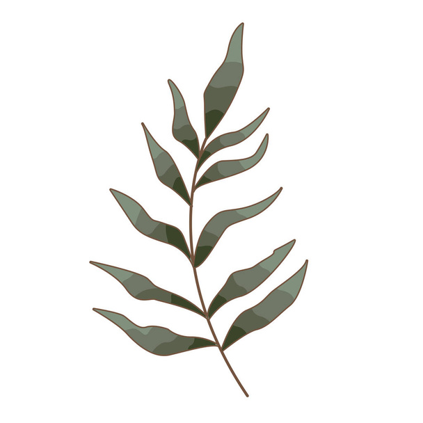fern leaf vector illustration for decoration on Tropical forest and autumn seasonal concept. - Vektori, kuva