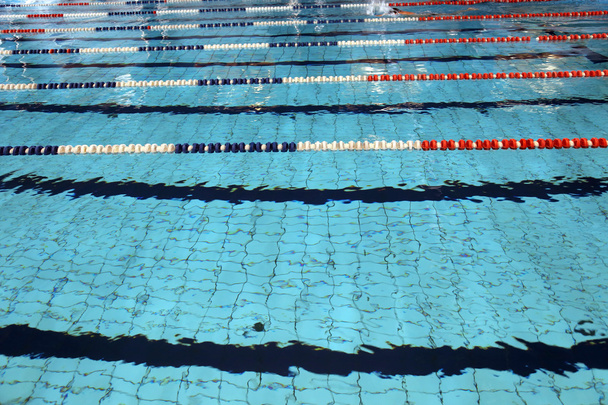 オリンピック サイズのスイミング プールで泳ぎの競争の車線 - 写真・画像