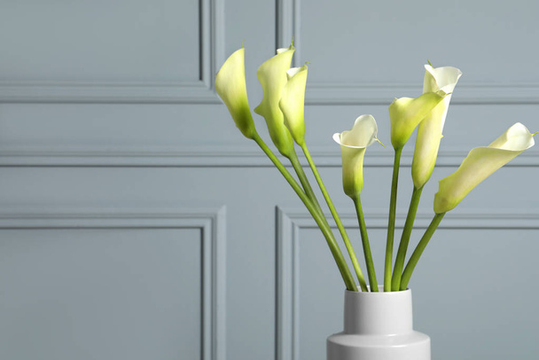 Beautiful calla lily flowers in vase on grey background. Space for text - Foto, imagen