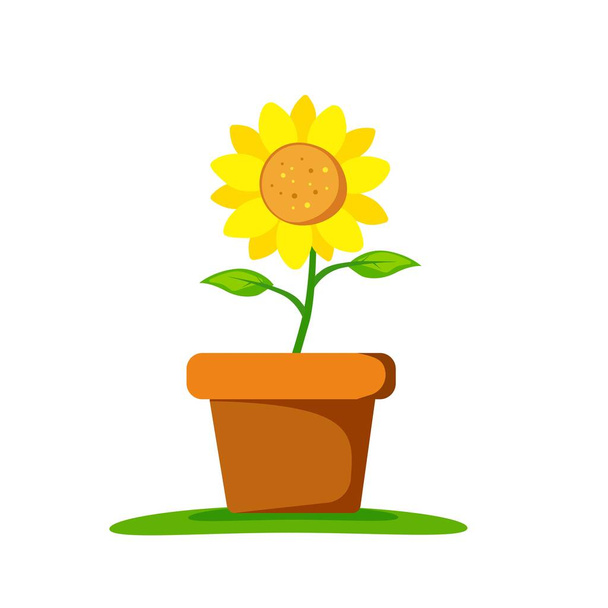 Beautiful sunflower on pot, isolated vector illustration - Vector, Image