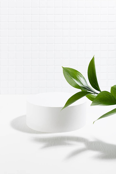 Spring abstract white scene one cylinder podium template for presentation cosmetic, goods, advertising, design, tiny mosaic tile, fresh tropical green leaves in sunlight, shadow, vertical. - Foto, immagini
