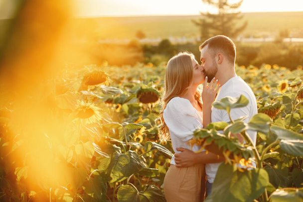 Young loving couple is kissing in a sunflower field. Portrait of couple posing in summer in field. - Фото, изображение