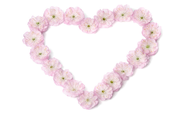 pink flowers in  shape of heart on white background - Foto, imagen