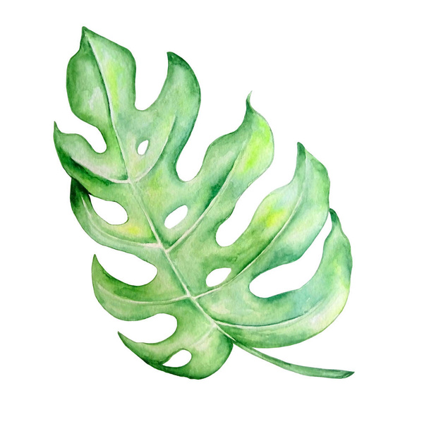 Watercolor bright green tropical leaf, for summer designs - Fotoğraf, Görsel