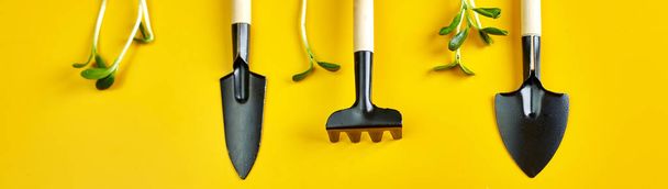 Banner Flat lay peat pots, gardening tools and greens on yellow background, Spring garden works concept, Copy space for text, top view - Photo, Image