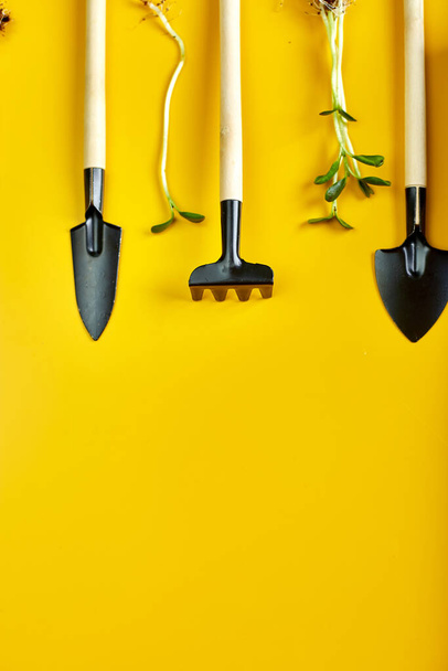 Flat lay gardening tools and greens on yellow background, Spring garden works concept, Copy space for text, top view - Foto, Bild