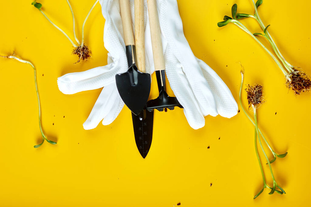 Outils de jardinage à plat, gants et verts sur fond jaune, concept de travaux de jardinage printanier, Espace de copie pour texte, vue de dessus - Photo, image