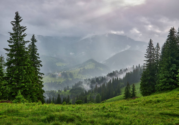 гірський луг на ранковому світлі. сільський весняний пейзаж з долиною в тумані за лісом на трав'янистому пагорбі. пухнасті хмари на яскраво-синьому небі. концепція свіжості природи
 - Фото, зображення