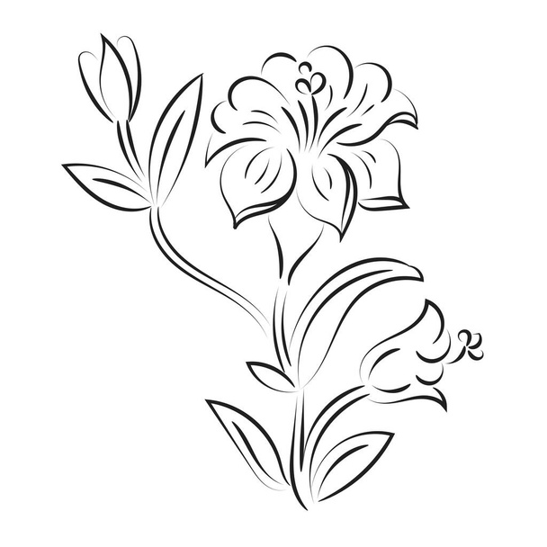 Flowers and leaves outline for print. Bouquet of hand-drawn spring flowers and plants - Вектор, зображення